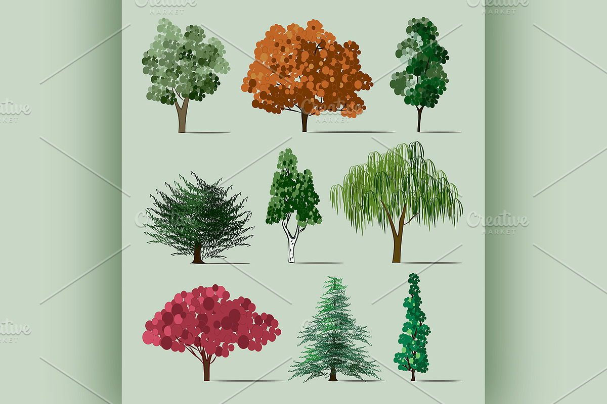 Trees sketch set in Illustrations - product preview 8