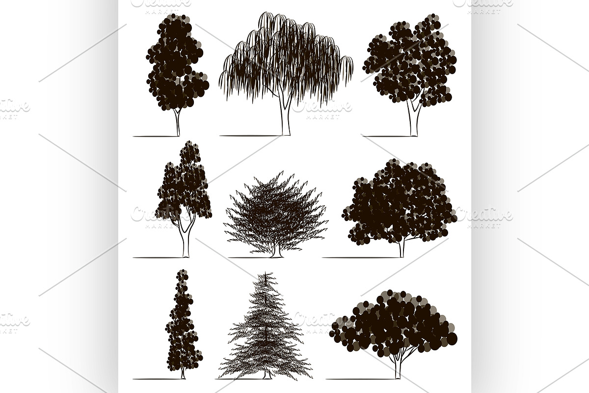 Trees sketch set in Illustrations - product preview 8