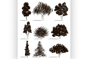 Trees sketch set