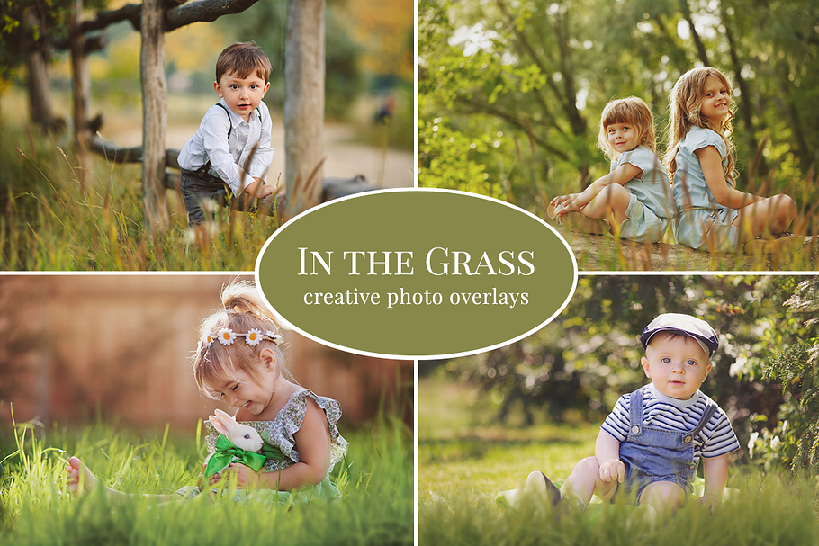 "In The Grass" photo overlays set in Objects - product preview 8