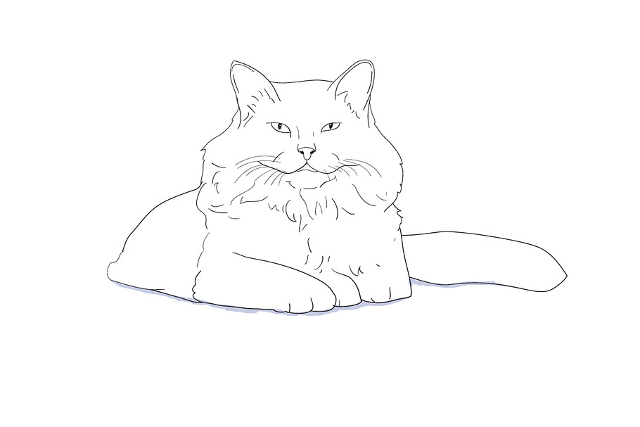 White furry cat laying on white in Illustrations - product preview 8