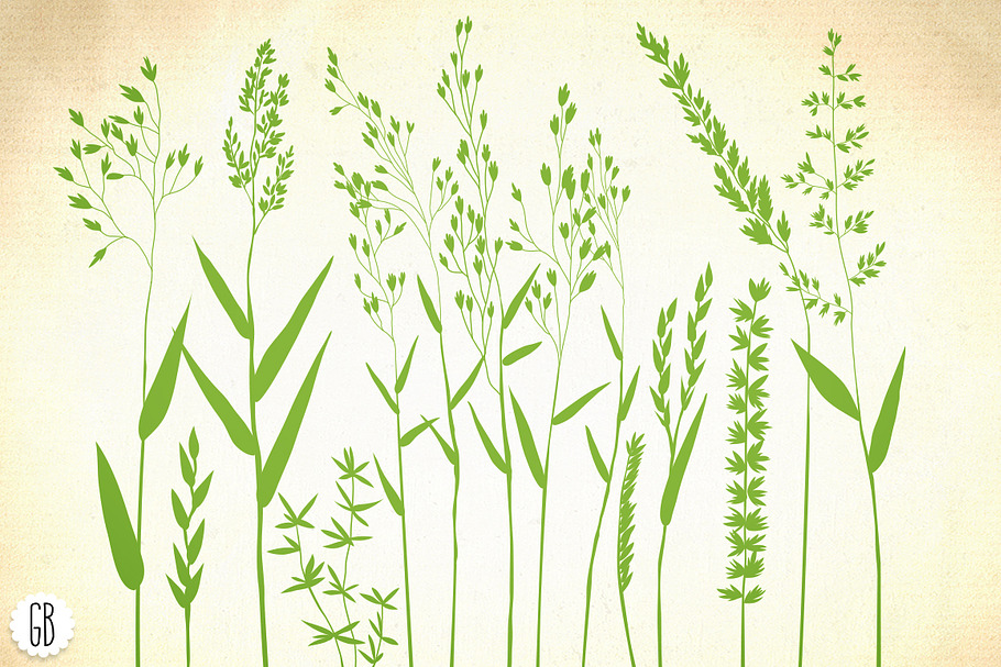 Wild herbs, hair grass, wheat in Illustrations - product preview 8
