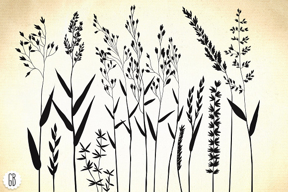 Wild herbs, hair grass, wheat in Illustrations - product preview 1