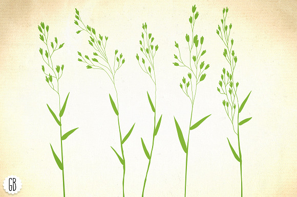 Wild herbs, hair grass, wheat in Illustrations - product preview 2