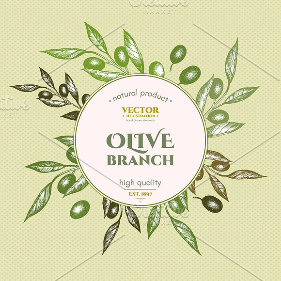 Olive collection in Graphics - product preview 10