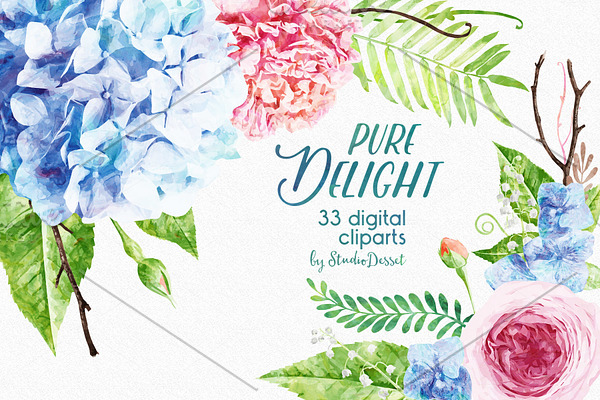 Pure Delight - Watercolor Cliparts