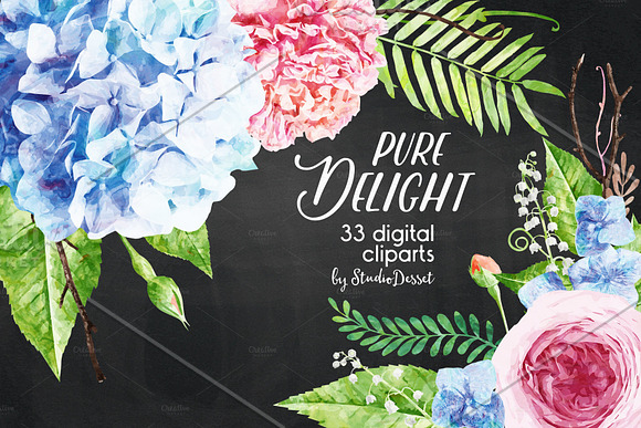 Pure Delight - Watercolor Cliparts in Objects - product preview 1