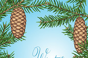 Backgrounds with fir cones.