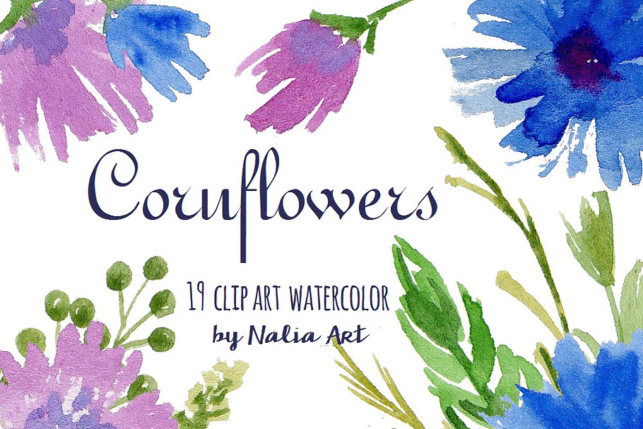 cornflowers watercolor clip art in Add-Ons - product preview 8