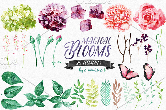 Magical Blooms - Watercolor Flowers in Illustrations - product preview 1