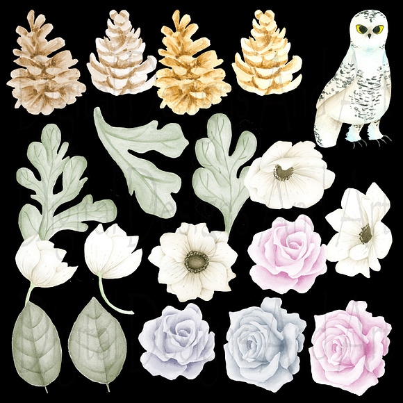 Winter flowers clipart in Illustrations - product preview 2