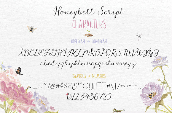The Honeybell Collection in Display Fonts - product preview 2