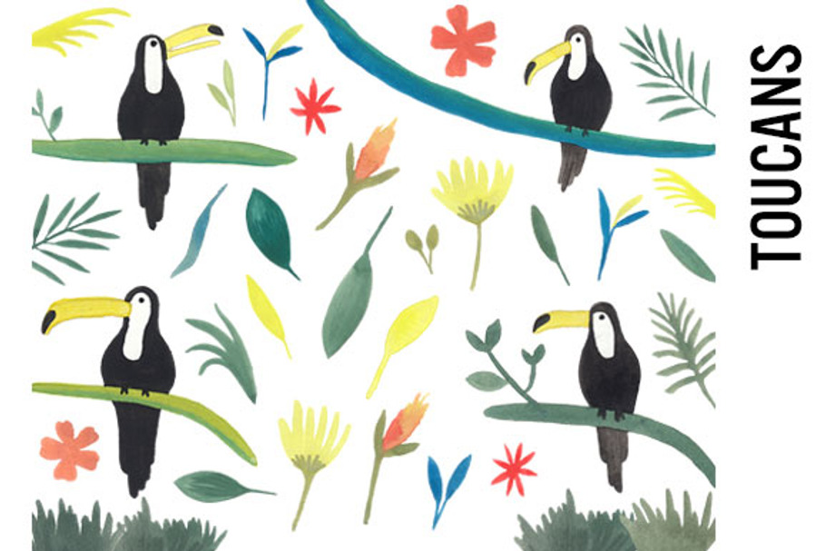 Toucan Jungle Watercolor Clipart in Illustrations - product preview 8
