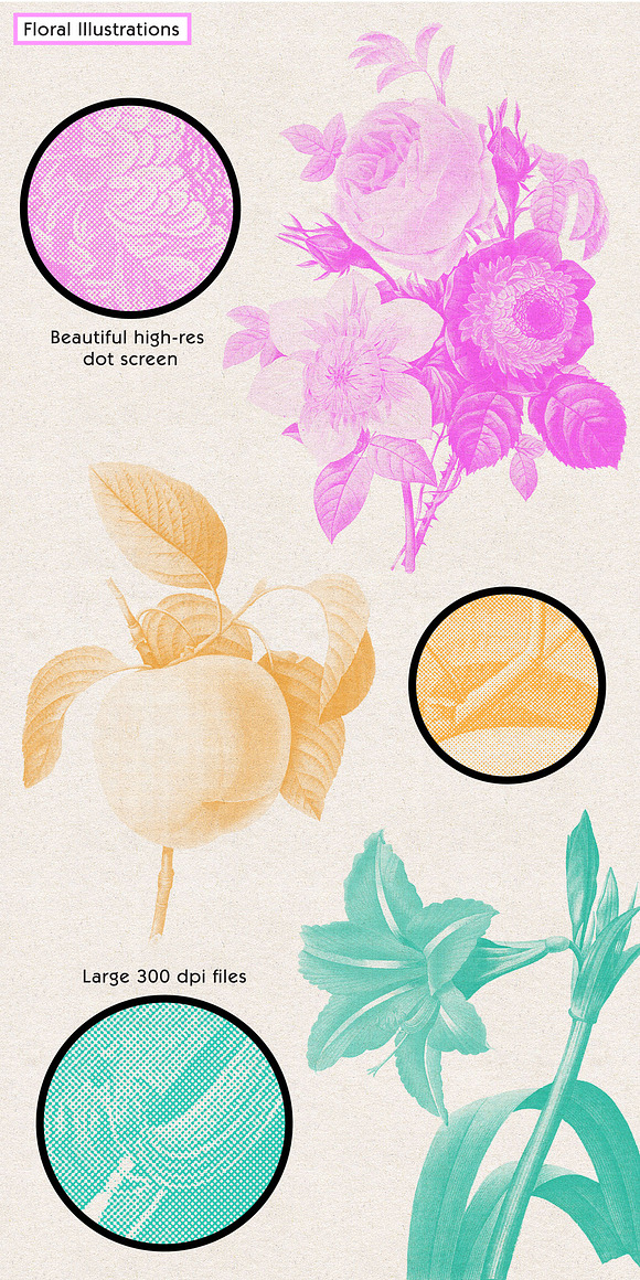 Vintage Floral Halftone Pack in Illustrations - product preview 1
