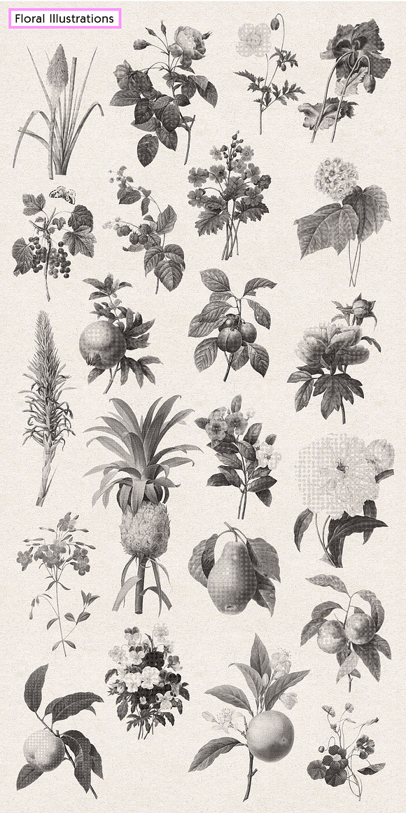 Vintage Floral Halftone Pack in Illustrations - product preview 3