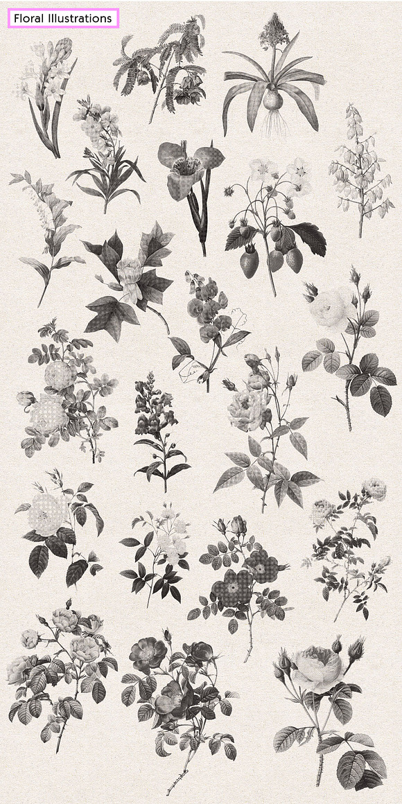 Vintage Floral Halftone Pack in Illustrations - product preview 4