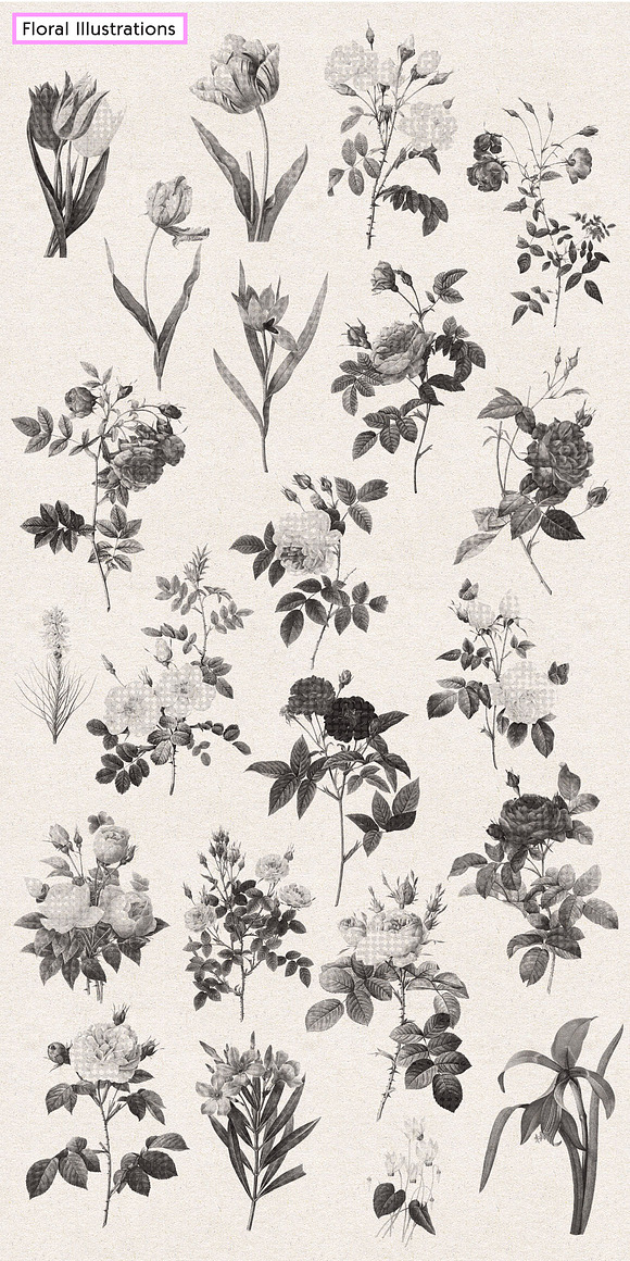 Vintage Floral Halftone Pack in Illustrations - product preview 5