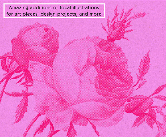 Vintage Floral Halftone Pack in Illustrations - product preview 6
