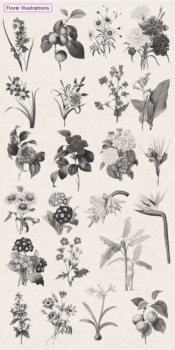 Vintage Floral Halftone Pack in Illustrations - product preview 8