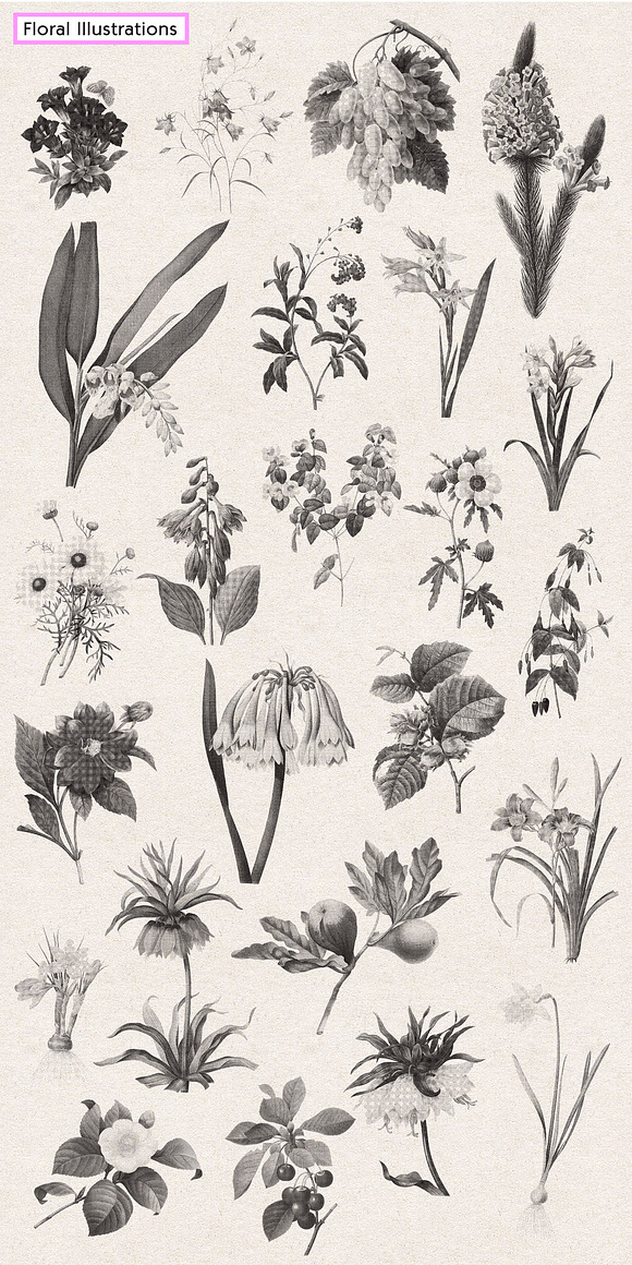 Vintage Floral Halftone Pack in Illustrations - product preview 9