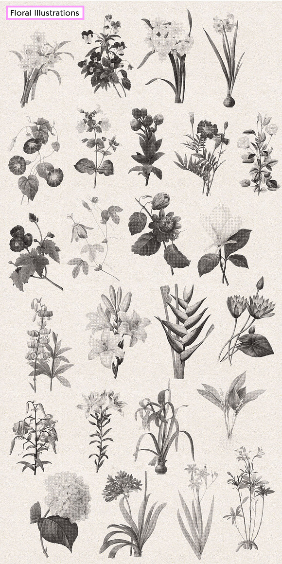 Vintage Floral Halftone Pack in Illustrations - product preview 10