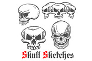 Sketches of human skulls