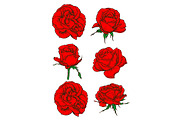 Red rose icons with blooming flowers