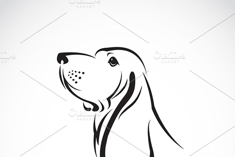Vector image of a basset hound head.