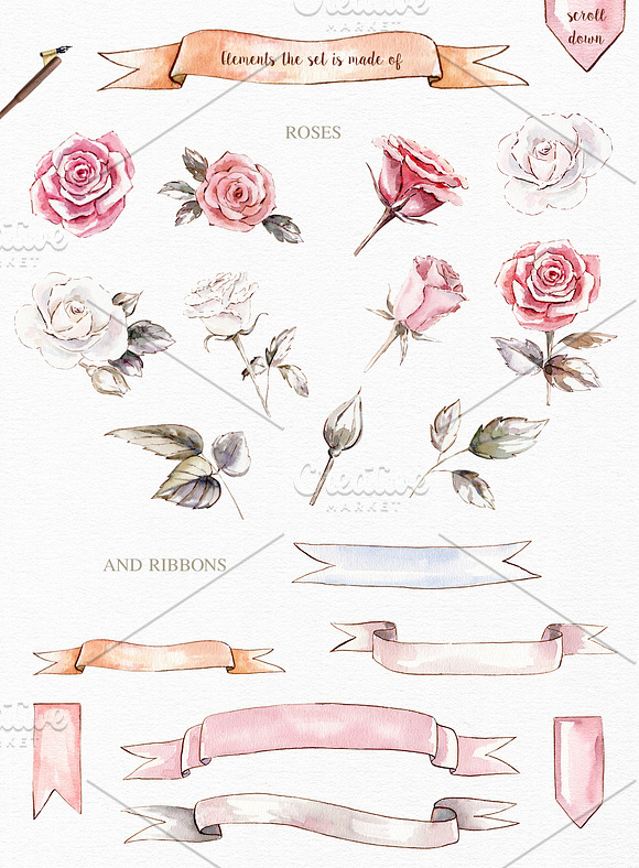 Vintage roses watercolor set in Graphics - product preview 3