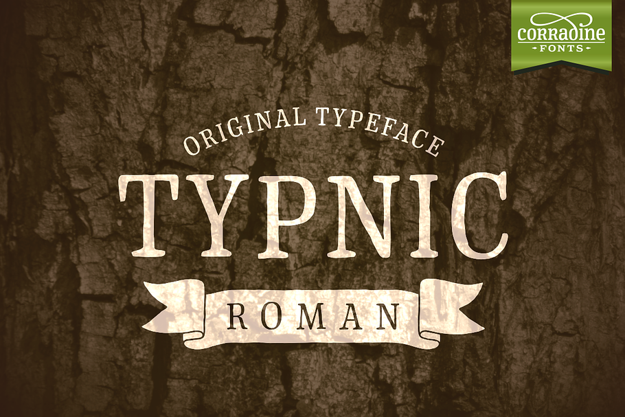 Typnic Roman in Serif Fonts - product preview 8