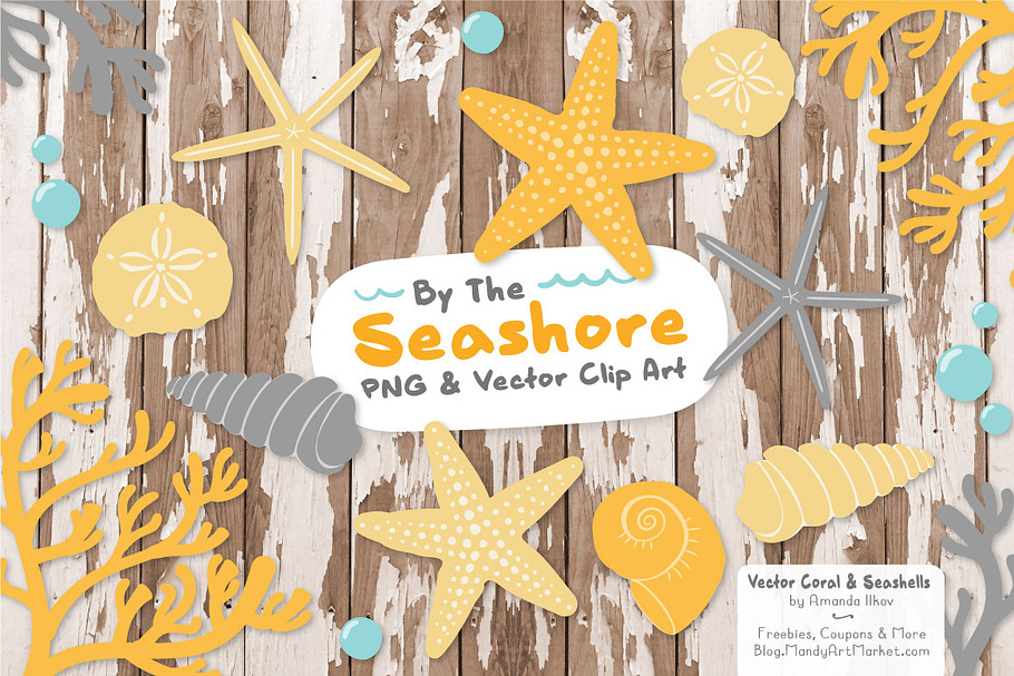 Sunshine Vector Seashells in Illustrations - product preview 8