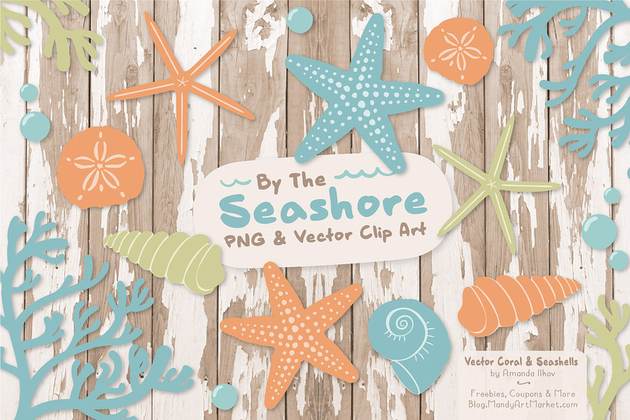 Vintage Boy Vector Seashells in Illustrations - product preview 8