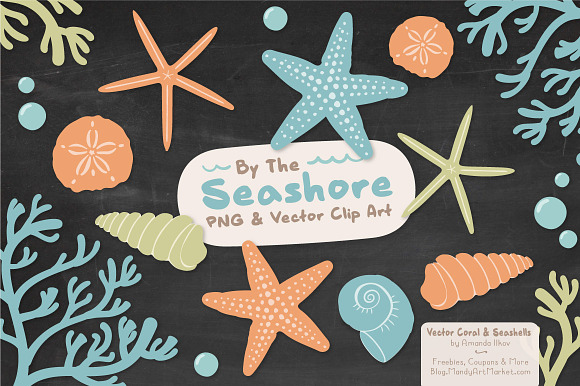 Vintage Boy Vector Seashells in Illustrations - product preview 2