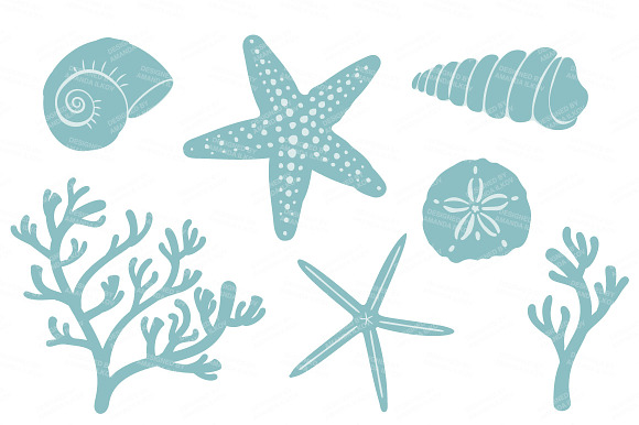 Vintage Boy Vector Seashells in Illustrations - product preview 3