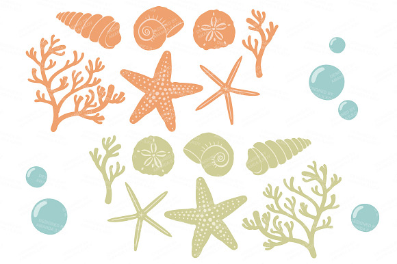 Vintage Boy Vector Seashells in Illustrations - product preview 4