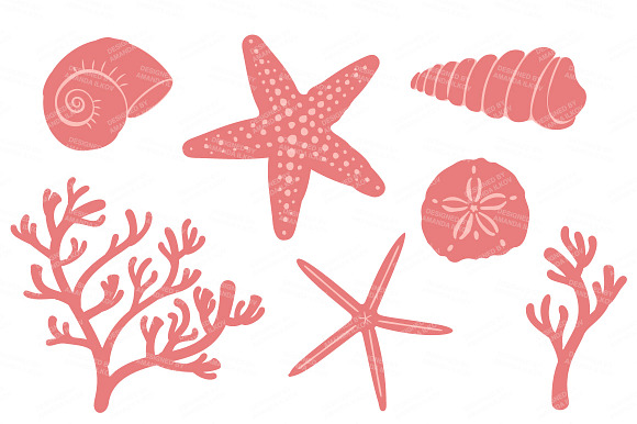 Seashells Clipart in Vintage Girl in Illustrations - product preview 3