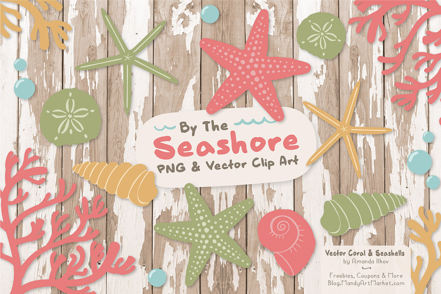 Vintage Vector Seashells in Illustrations - product preview 8