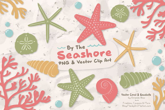 Vintage Vector Seashells in Illustrations - product preview 1
