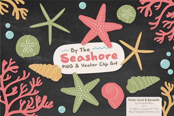 Vintage Vector Seashells in Illustrations - product preview 2