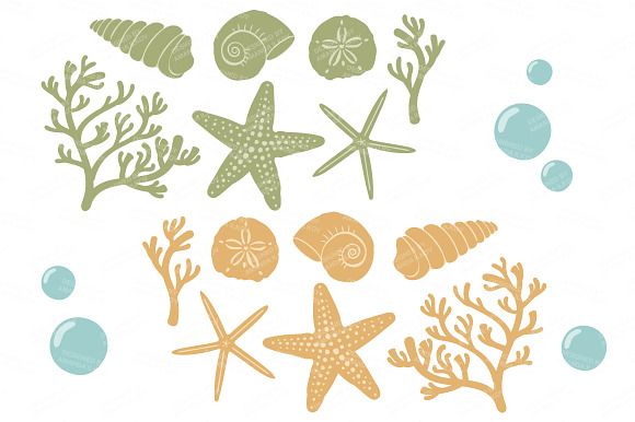 Vintage Vector Seashells in Illustrations - product preview 4