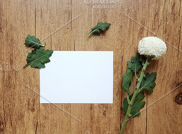 Vintage Template Stock Photo MockUps in Print Mockups - product preview 3
