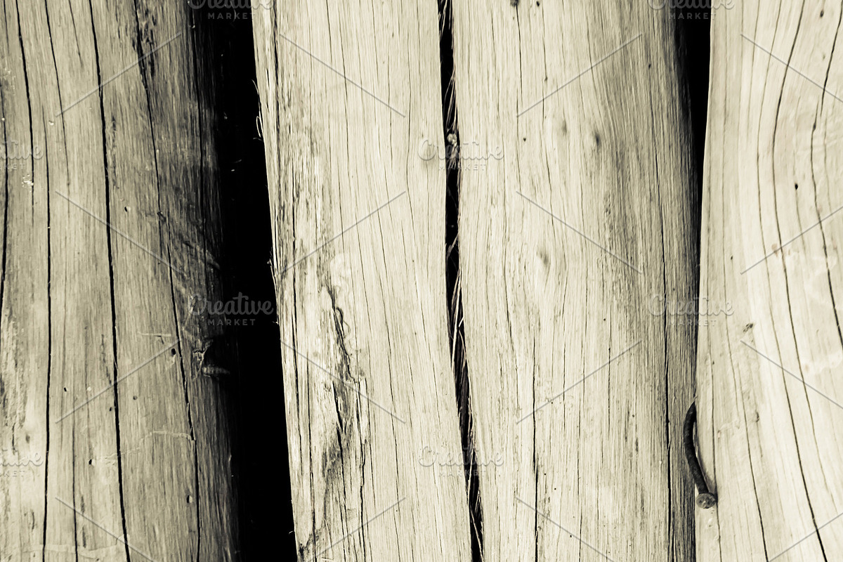 texture of bark tree in Textures - product preview 8