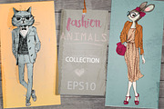 Fashion Animals Collection