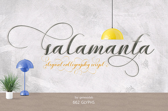 Font Bundle Caligraphy 85%Off  in Cute Fonts - product preview 3