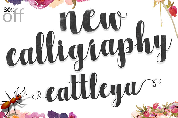 Font Bundle Caligraphy 85%Off  in Cute Fonts - product preview 11