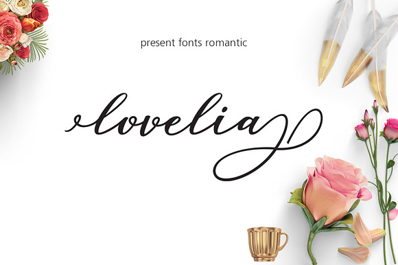 Font Bundle Caligraphy 85%Off  in Cute Fonts - product preview 16