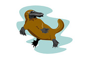 Platypus Front View