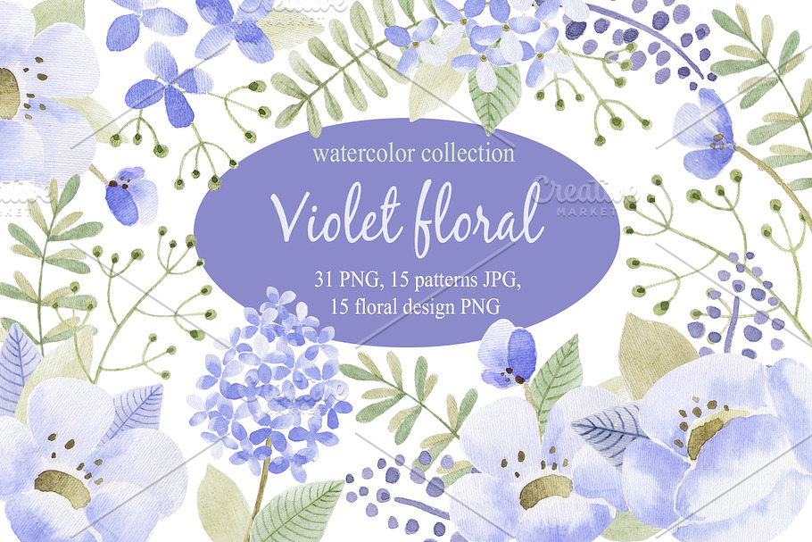 Violet flowers.Watercolor collection