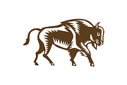 American Bison Woodcut