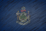 Maine state flag.